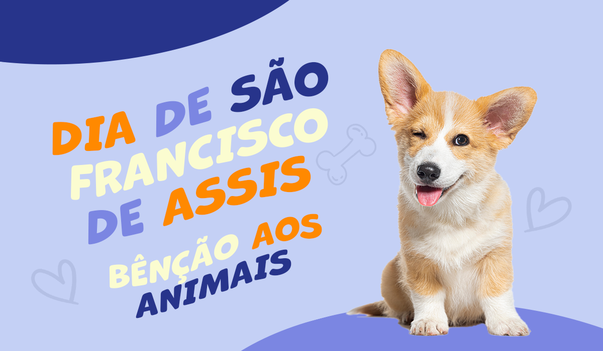 são francisco de assis